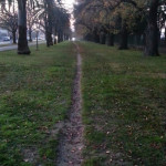 Walk Path