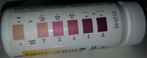 Ketostix Colour Chart