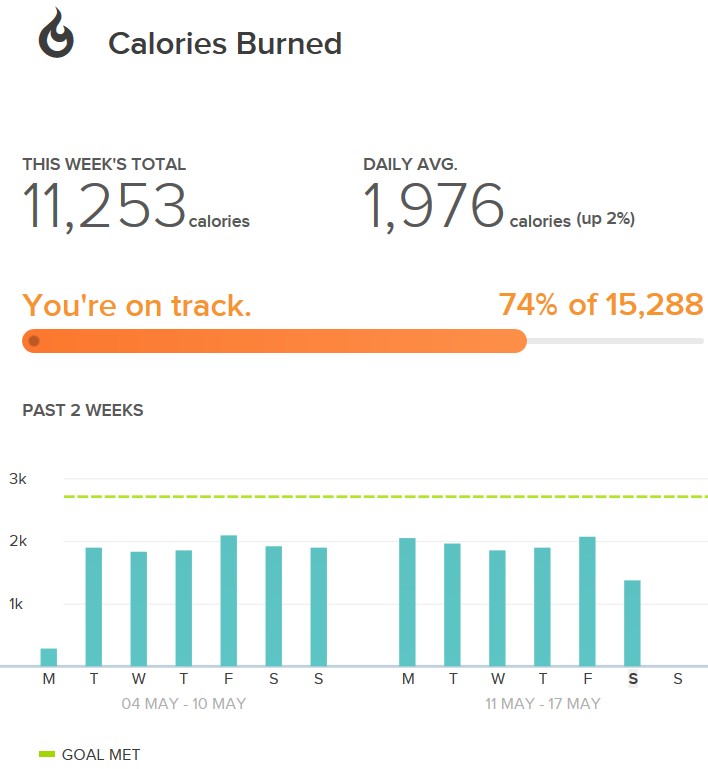 FitBit Calories Burned Chart