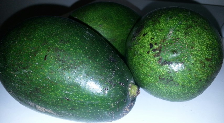 Avocados